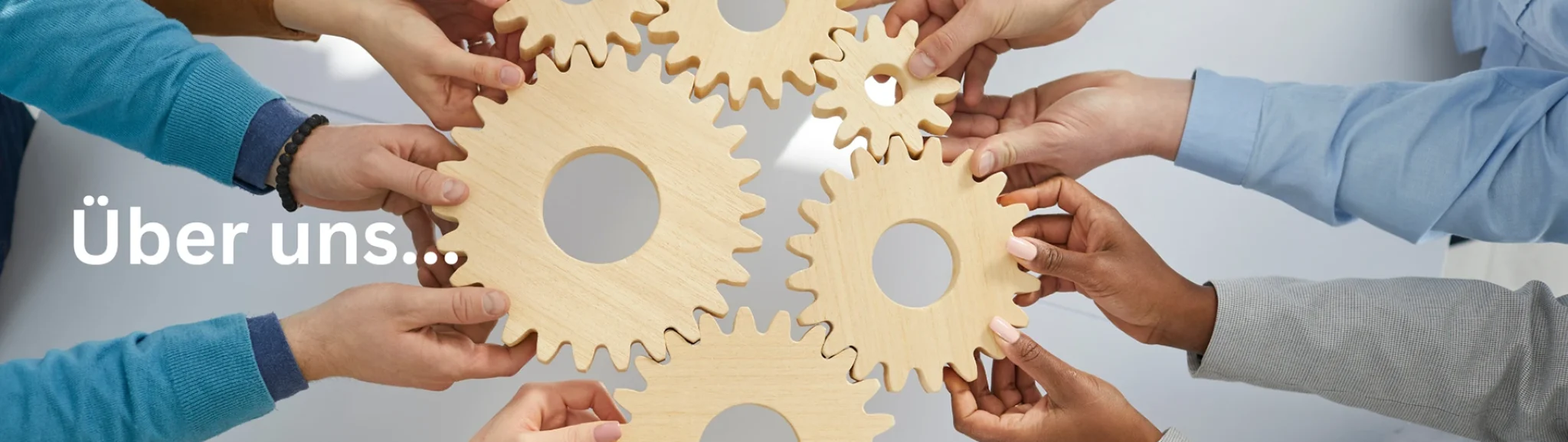 Mehr erfahren über die bildungsnetzwerk naturkost GmbH